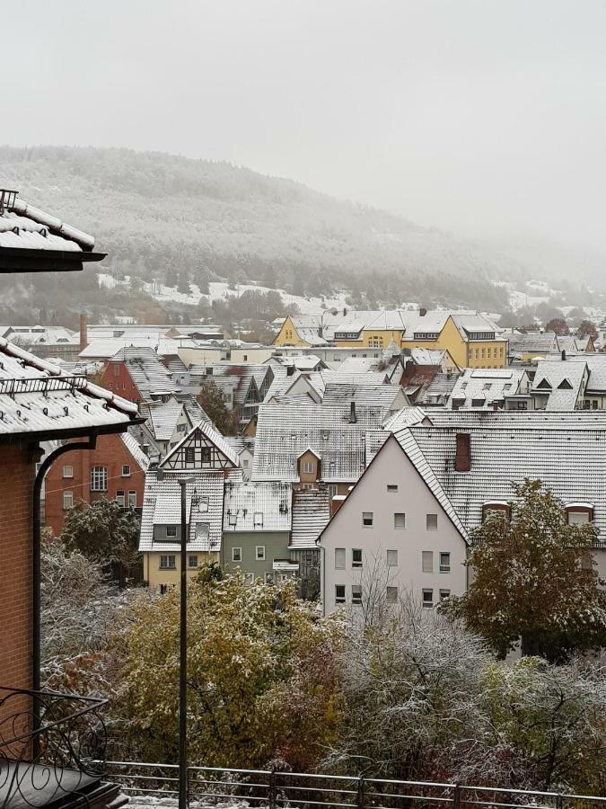 Ferienwohnungen Albstadt Buitenkant foto